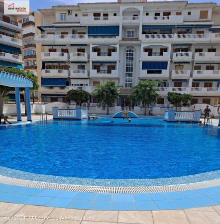 APARTAMENTO EN VENTA EN VIÑAMAR VI EN LA MATA. - ALICANTE