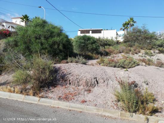 PARCELA EN CALABARDINA - MURCIA