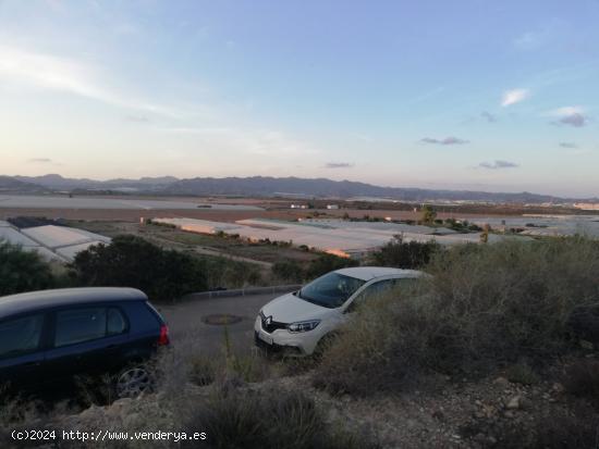 PARCELA EN CALARREONA CON VISTAS AL MAR - MURCIA