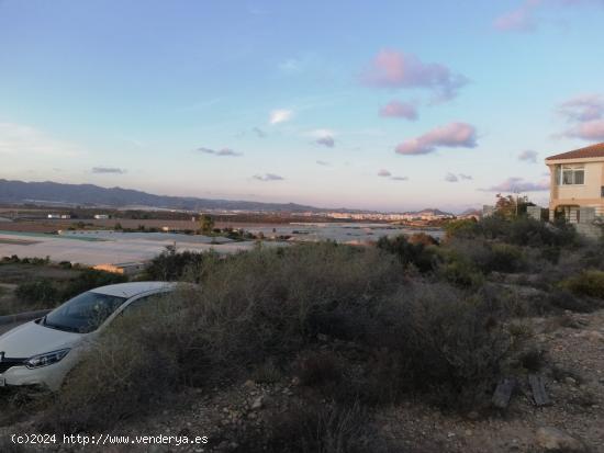 PARCELA EN CALARREONA CON VISTAS AL MAR - MURCIA