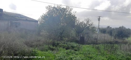 ESTUPENDA CASA CON TERRENO EN LA ESCUCHA - MURCIA