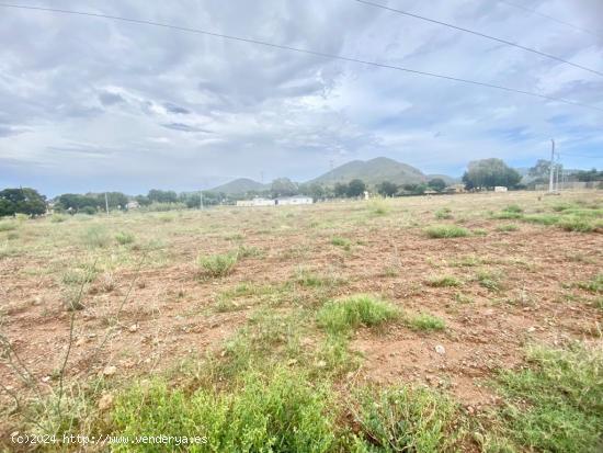 Parcela con vistas, ideal para construcción de vivienda unifamiliar - MURCIA