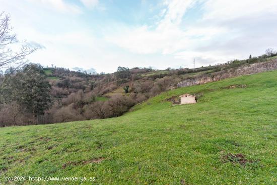 Finca rustica al lado de Oviedo! - ASTURIAS