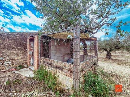 FINCA RUSTICA CON CASA EN VENTA EN SANTA BARBARA (TARRAGONA) - TARRAGONA