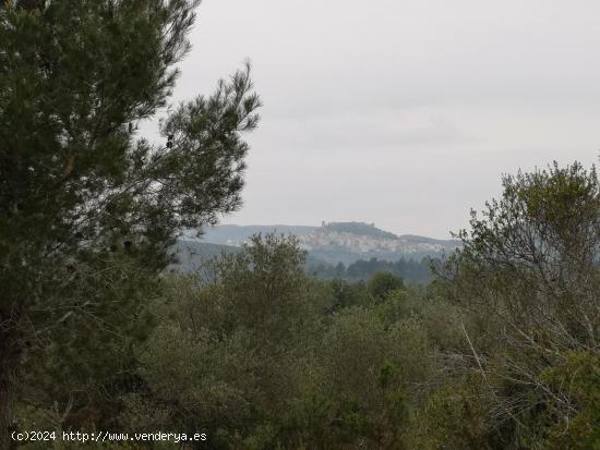 Se Vende en Cervera del Maestre - CASTELLON