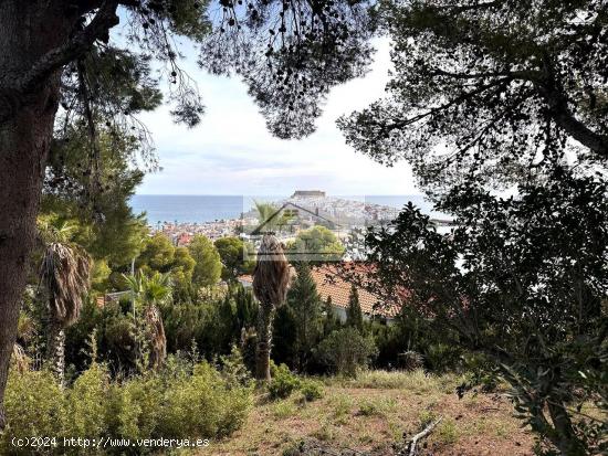  FINCA EN ATALAYAS CON VISTAS FRONTALES AL CASTILLO DE PEÑISCOLA - CASTELLON 