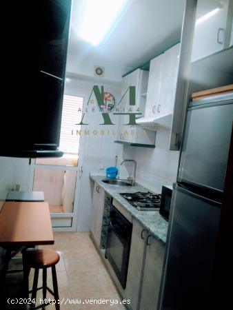 Estupendo apartamento con vistas al parque del Príncipe - CACERES