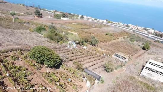 VENTA DE TERRENO RÚSTICO EN EL SAUZAL, CON CUARTO DE APEROS - SANTA CRUZ DE TENERIFE