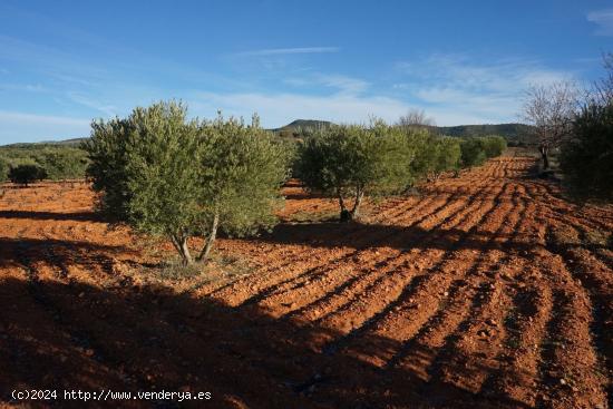  Se Vende en Requena - VALENCIA 