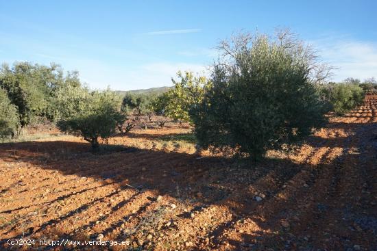 Se Vende en Requena - VALENCIA