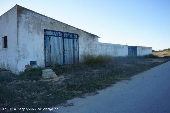  Se Alquila en Requena - VALENCIA 