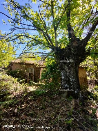 SE VENDE FINCA RÚSTICA EN VENTA EN EL CASTAÑO DEL ROBLEDO (HUELVA) ESPAÑA - Casta