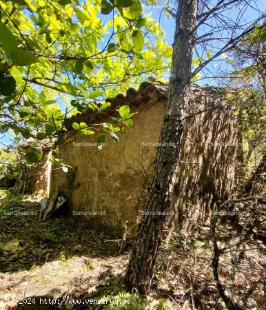 SE VENDE FINCA RÚSTICA EN VENTA EN EL CASTAÑO DEL ROBLEDO (HUELVA) ESPAÑA - Casta