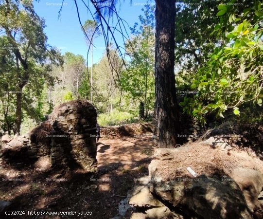 SE VENDE FINCA RÚSTICA EN VENTA EN EL CASTAÑO DEL ROBLEDO (HUELVA) ESPAÑA - Casta