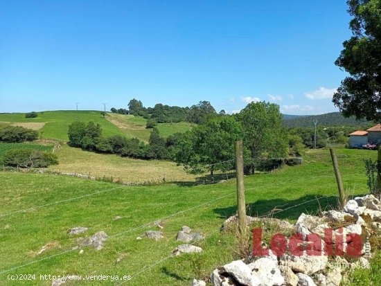 Extensa finca rústica en Lamadrid, Cantabria.