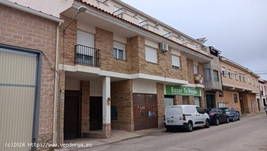  Piso Centrico + Garje, Calle Jardin 