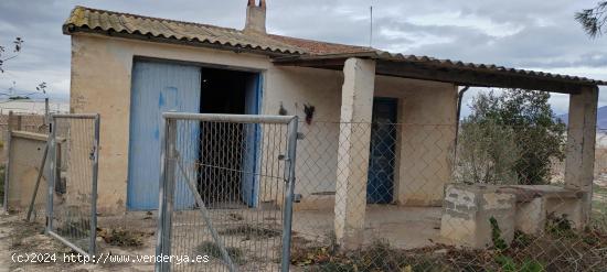  SE VENDE TERRENO A 20 MINUTOS DE ALICANTE CON AGUA Y CASA PARA REFORMAR - ALICANTE 