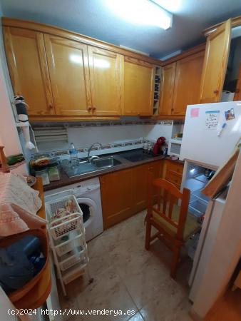  REF.-  33 – Apartamento a 500m de la Playa del Cura - Torrevieja - ALICANTE 