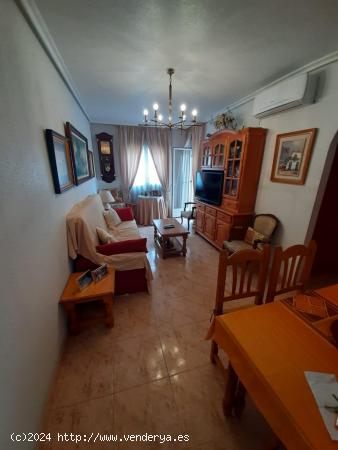 REF.-  33 – Apartamento a 500m de la Playa del Cura - Torrevieja - ALICANTE