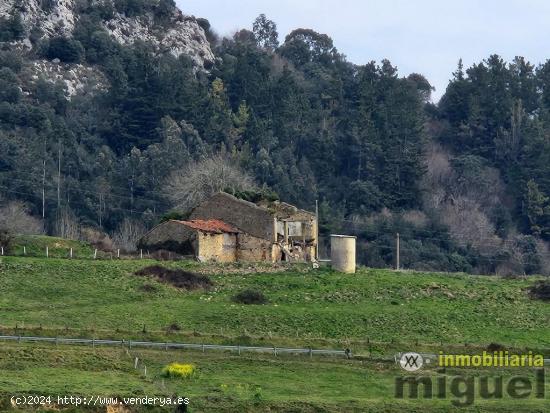 Se vende gran parcela edificable en Narganes, Peñamella Baja - ASTURIAS