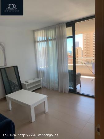 Se alquila Apto de 2 dorm , 2 baños en Zona Av Europa ., Benidorm , www.euroloix.com - ALICANTE