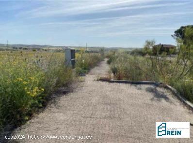 LOTE DE PARCELAS DE 300 M2 EN LA CALLE SC.LA UNQUERILLA, NUMANCIA DE LA SAGRA, TOLEDO - TOLEDO