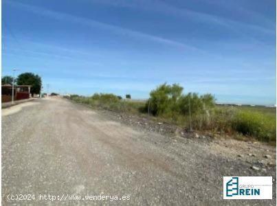 LOTE DE PARCELAS DE 300 M2 EN LA CALLE SC.LA UNQUERILLA, NUMANCIA DE LA SAGRA, TOLEDO - TOLEDO