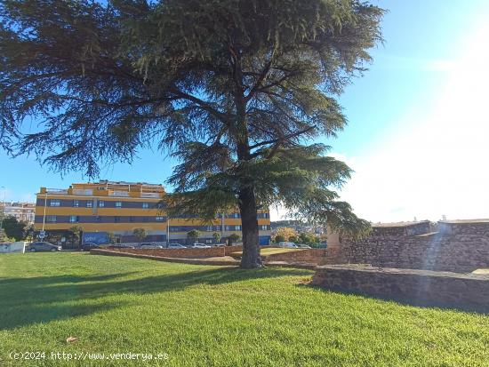 Ático dúplex en C/ Fuente de la Rana (Parque del Guadiana) San Fernando (La Estación) - BADAJOZ