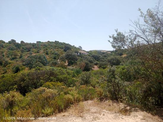 Magnifica Finca de Caza enLa Sierra Norte de Sevilla. - HUELVA