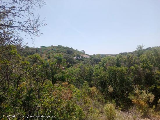 Magnifica Finca de Caza enLa Sierra Norte de Sevilla. - HUELVA