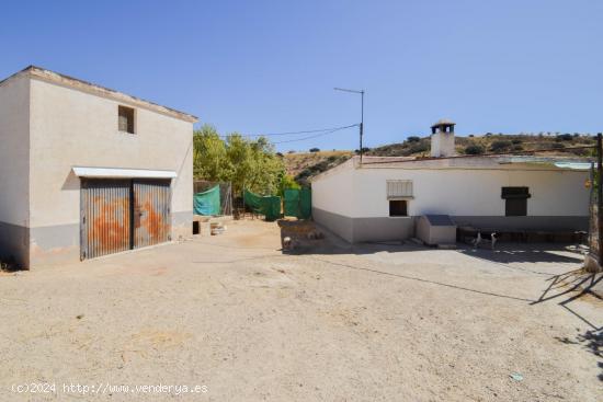  ¡Magnífica Finca de 18 Hectáreas en Plena Producción de Almendros y Olivos! - GRANADA 