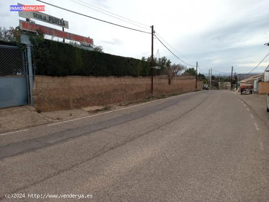 Se vende finca rustica en el Regil - ZARAGOZA