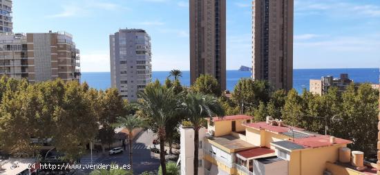  Piso de 2 dorm. reformado a 100 metros de la Playa de Levante - www.inmobiliarialesdunes.com - ALICA 