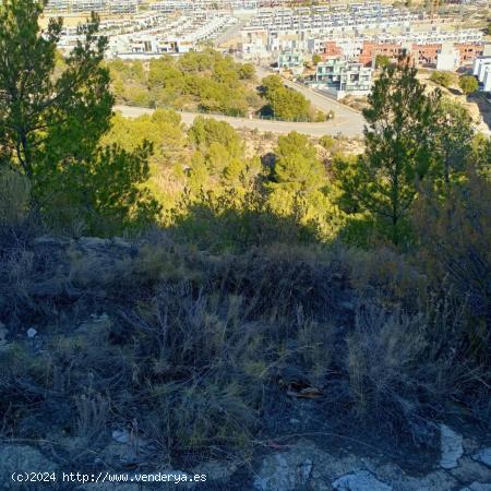 TERRENO URBANIZABLE EN FINESTRAT - ALICANTE