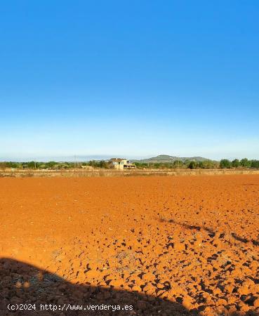 Terreno o finca edificable con proyecto edificación - BALEARES