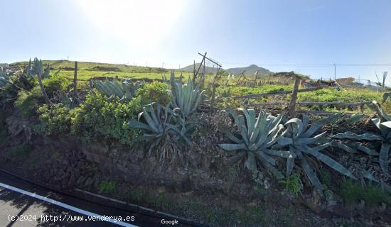  Venta de Parcela Rústica de 14,000 m² en la zona de Los Silos, Gáldar - LAS PALMAS 