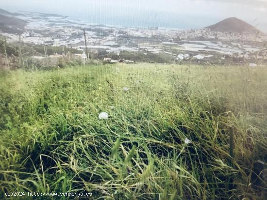 Venta de Parcela Rústica de 14,000 m² en la zona de Los Silos, Gáldar - LAS PALMAS