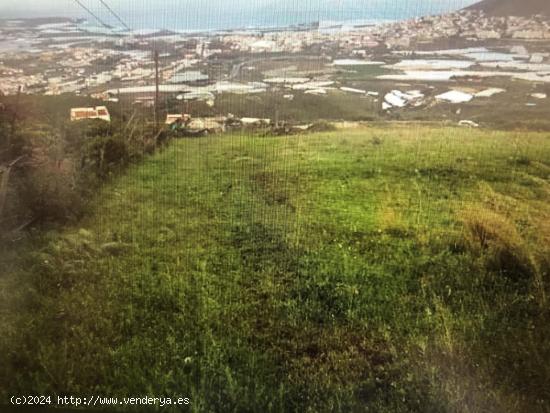 Venta de Parcela Rústica de 14,000 m² en la zona de Los Silos, Gáldar - LAS PALMAS