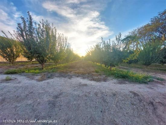 Parcela Junto a la ciudad, en zona del Campillo - MURCIA