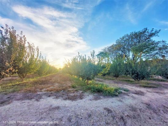 Parcela Junto a la ciudad, en zona del Campillo - MURCIA