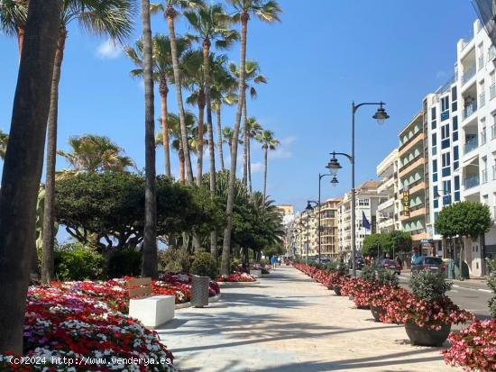  Apartamento en alquiler en estepona | CABANILLAS REAL ESTATE - MALAGA 