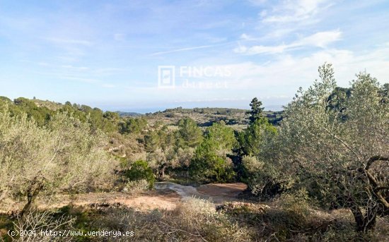 Finca en venta en Tortosa (Tarragona)