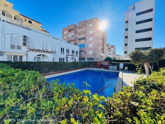 Chalet en venta en Torrevieja (Alicante)