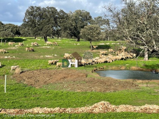 Solar en venta en Cáceres (Cáceres)