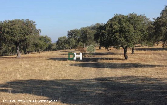 Solar en venta en Cáceres (Cáceres)