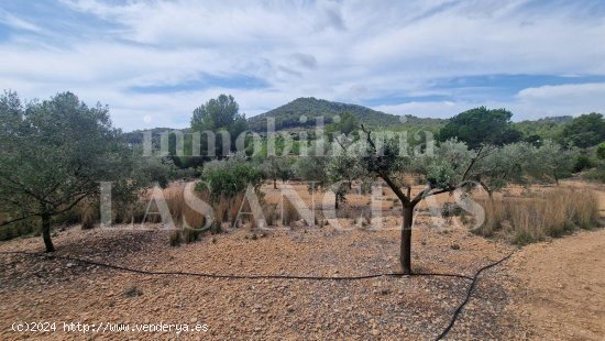 Parcela en venta en Santa Eulalia del Río (Baleares)