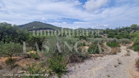 Parcela en venta en Santa Eulalia del Río (Baleares)