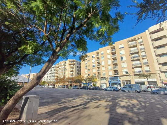  Apartamento en alquiler en Oliva (Valencia) 