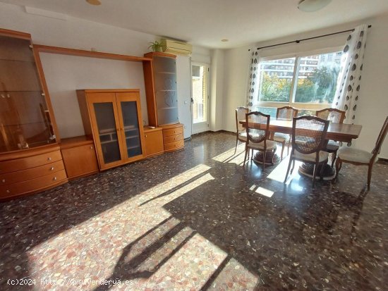 Apartamento en alquiler en Oliva (Valencia)