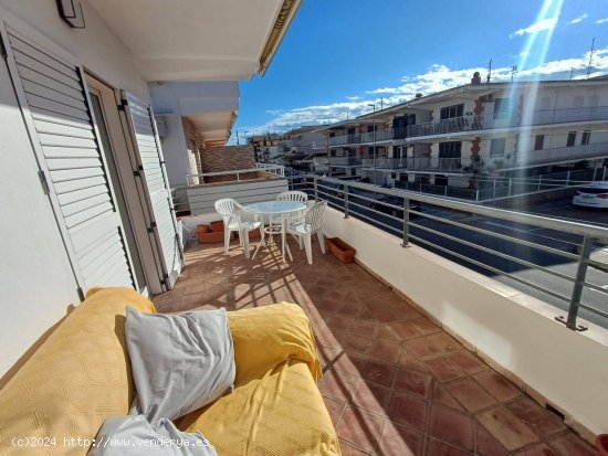  Apartamento en alquiler en Oliva (Valencia) 